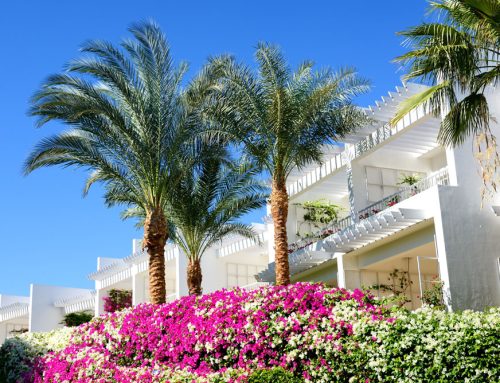 Buying Property on the Costa del Sol in 2026: What Buyers Need to Know
